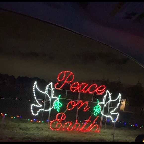 HOLIDAY - Picture 5 of 6